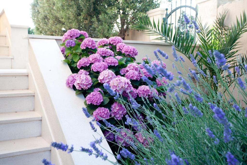 רוגוזניצה Beach Apartments Rogoznica חדר תמונה